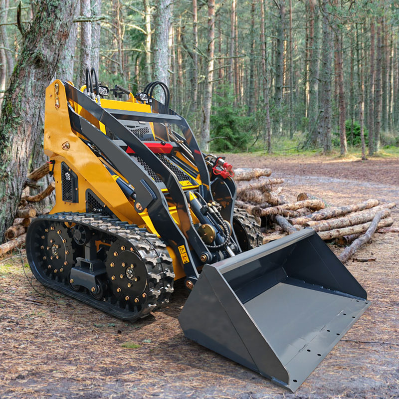 Heavy Duty Mini Track Loader - Certeg T480 - Image 4