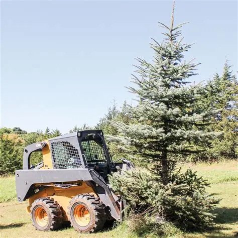 Can A Skid Steer Tree Puller Attachment Work On More Than Trees?